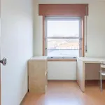 منزل للإقامة Formoso بورتو